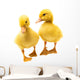 Little Ducklings Wall Decal