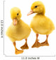 Little Ducklings Wall Decal