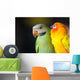 Beautiful Cute Red-breasted Parakeet Wall Decal