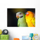 Beautiful Cute Red-breasted Parakeet Wall Decal