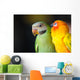 Beautiful Cute Red-breasted Parakeet Wall Decal