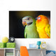 Beautiful Cute Red-breasted Parakeet Wall Decal