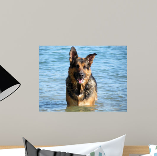 Happy German Shepherd Dog – Wallmonkeys