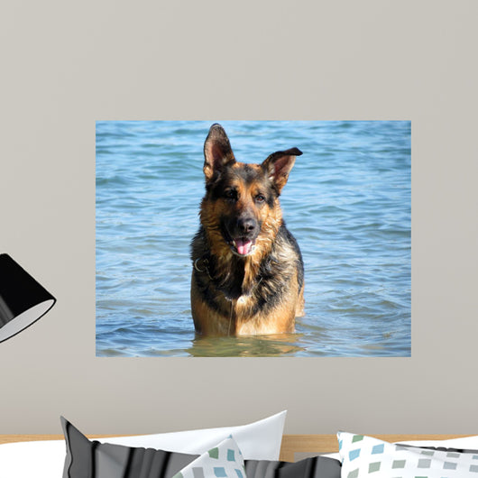 Happy German Shepherd Dog