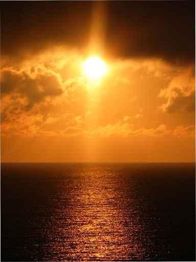 Sunset Orange Wall Decal