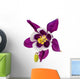 Aquilegia Flower