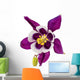 Aquilegia Flower
