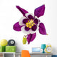 Aquilegia Flower