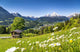 Scenic Landscape Bavarian Alps