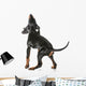 Black and Tan Coonhound Wall Decal