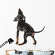 Black and Tan Coonhound Wall Decal