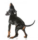 Black and Tan Coonhound Wall Decal