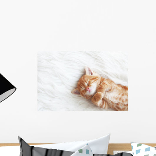 Red Kitten Wall Decal