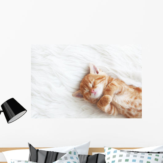Red Kitten Wall Decal