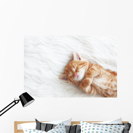 Red Kitten Wall Decal