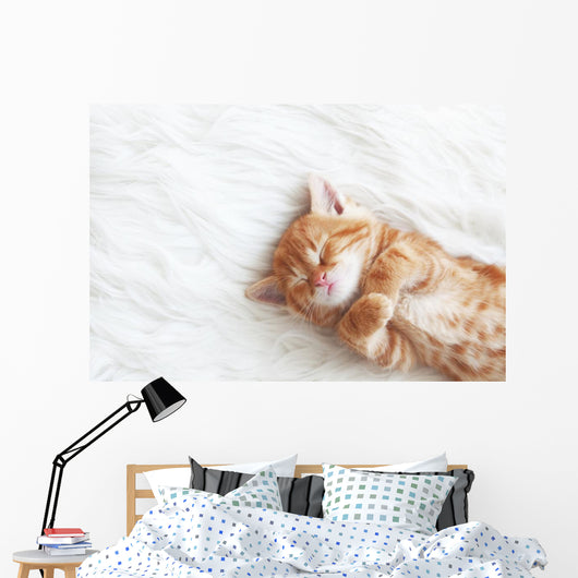 Red Kitten Wall Decal