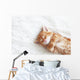 Red Kitten Wall Decal