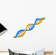 Dna Structure