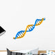 Dna Structure