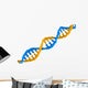 Dna Structure