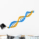 Dna Structure