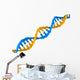 Dna Structure