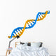 Dna Structure