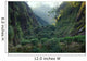 Tea Plantation Fujian Province