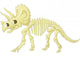 Triceratops skeleton Wall Decal