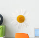 White daisy Wall Decal