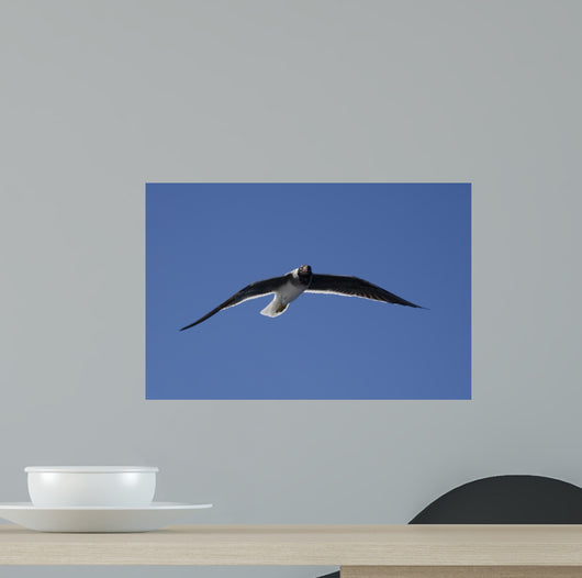 Seagull in the Sky Wall Mural