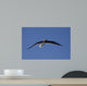 Seagull in the Sky Wall Mural