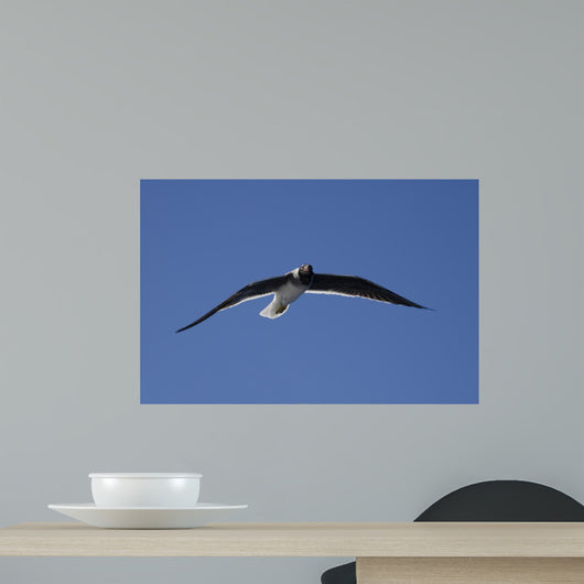 Seagull in the Sky Wall Mural