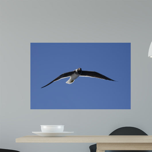 Seagull in the Sky Wall Mural