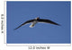 Seagull in the Sky Wall Mural