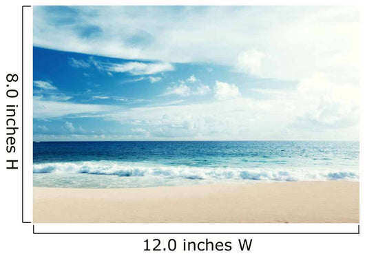 Tropical Beach