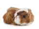 Young Guinea Pig Wall Decal