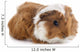 Young Guinea Pig Wall Decal