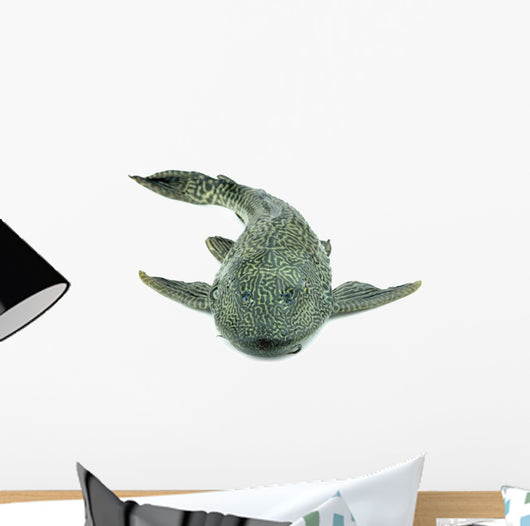 Fish Hypostomus Plecostomus White Wall Decal