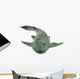 Fish Hypostomus Plecostomus White Wall Decal