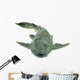 Fish Hypostomus Plecostomus White Wall Decal
