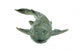 Fish Hypostomus Plecostomus White Wall Decal