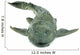 Fish Hypostomus Plecostomus White Wall Decal