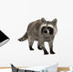 Raccoon Wall Decal