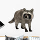 Raccoon Wall Decal