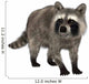 Raccoon Wall Decal