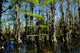 Everglades National Park