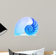 Nautilus Shell and Famous