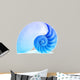 Nautilus Shell and Famous