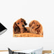 Dachshund Puppies. Wall Decal